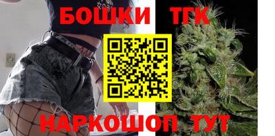 гашик Аргун