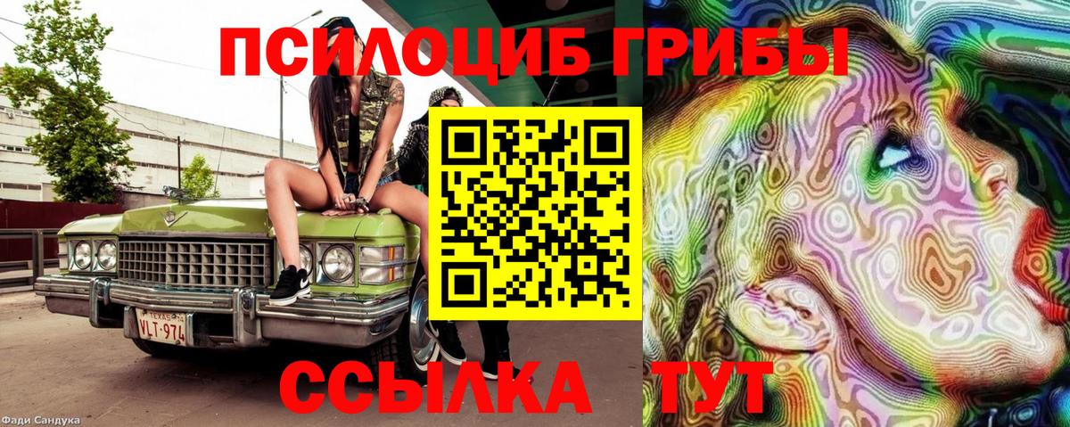 Барнаул  Галлюциногенные грибы Cubensis  Вход с VPN 