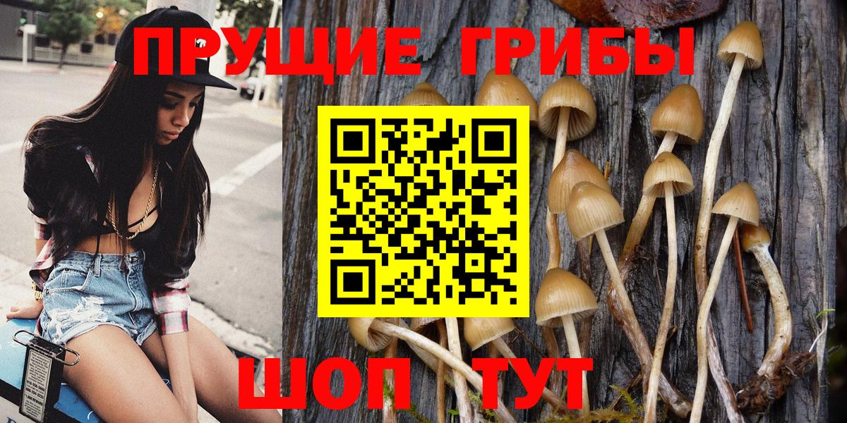 Псилоцибиновые грибы Magic Shrooms Барнаул
